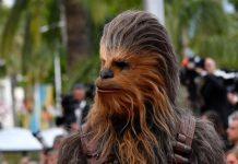La hermosa reacción de un bebé al conocer a Chewbacca (VIDEO) bebe