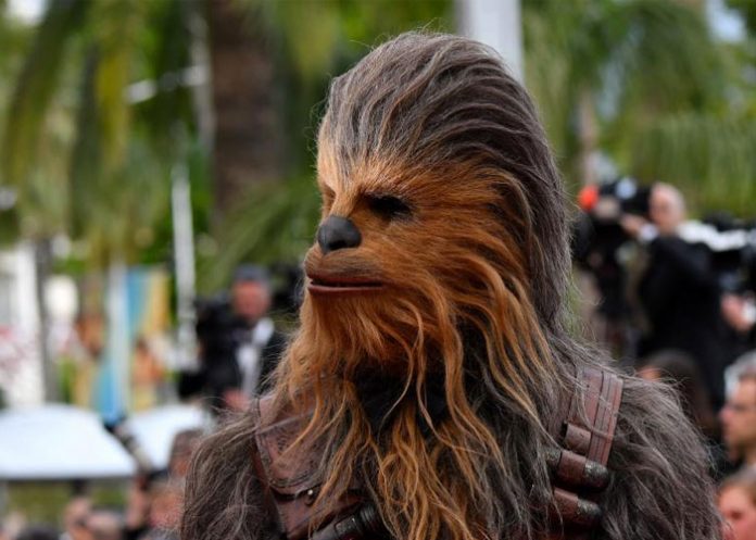 Chewbacca bebe