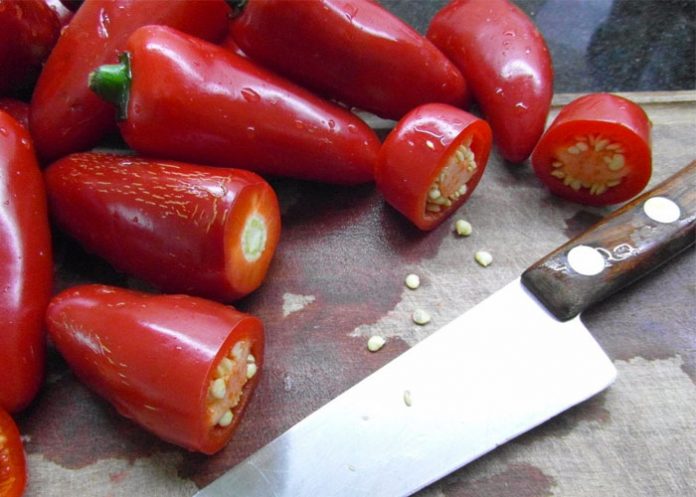 Chile_DvzDXkz robert mathew holguin jr