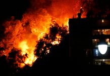 incendio forestal