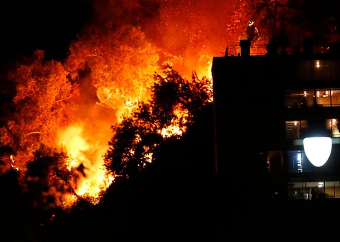 Chile_dvlK7kZ incendio forestal