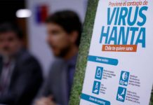 Una mujer de 41 años, cuarta víctima del hantavirus en Chile en 2019 chile