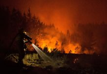 Un total de 31 incendios forestales se mantienen activos en Chile incendios forestales
