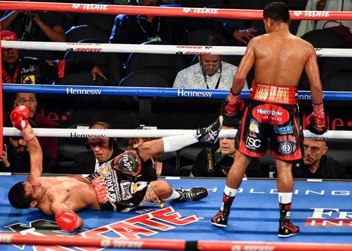 Choco_fuentes_web roman