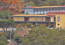 Abejas atacan a 71 estudiantes del Eliseo Picado de Matagalpa gobierno de nicaragua