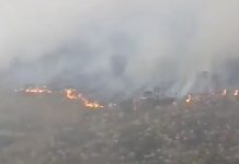 incendio forestal
