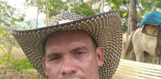 asesinato
