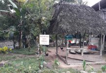 Nueve niños mueren por brote de tosferina en Panamá ninos muertos