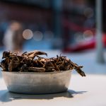 Revelan que oler la comida engorda platos del menu