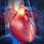 avion de southwest airlines