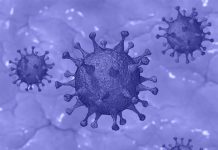 Venezuela reporta cinco muertos y 146 contagios por coronavirus venezuela