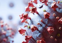 Ascienden a 687 los casos por coronavirus en Costa Rica costa rica