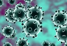 Hombres, los más afectados por el coronavirus en Honduras honduras