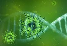 Venezuela confirma 15 nuevos casos de coronavirus y llegan a 106 los contagiados pandemia