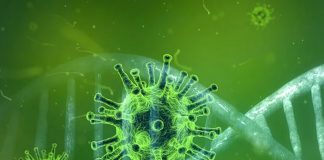 pandemia