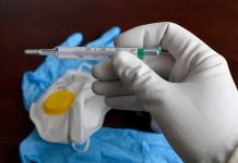 Científicos de Rusia crean 6 vacunas contra el coronavirus cientificos rusos