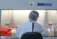 Muere sexta persona por coronavirus en Costa Rica costa rica