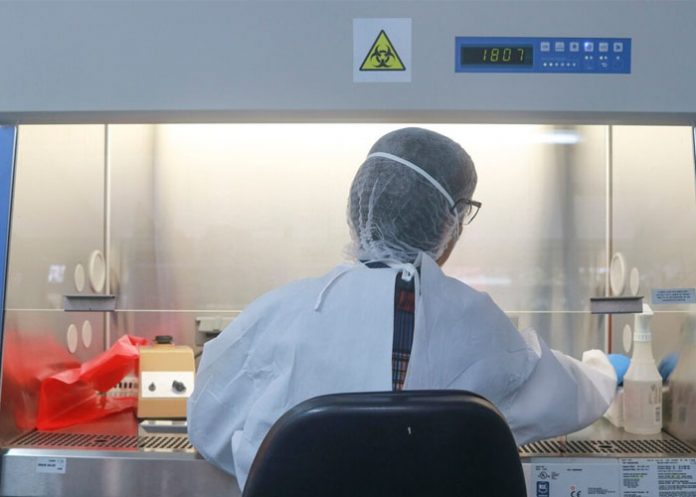 Costa_Rica_cxHbovM costa rica