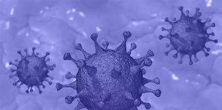 pandemia