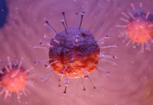 Haití confirma sus primeros dos casos de coronavirus haiti