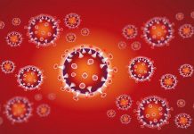 113 costarricenses tienen coronavirus, según último informe costa rica