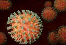 Nicaragua compartirá experiencia con Taiwán ante pandemia del coronavirus nicaragua