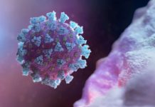 Muertes por coronavirus aumentan a 21 en el Reino Unido covid 19