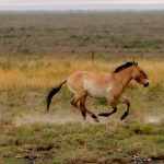 cientificos estados unidences