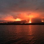 Erupción de volcán en Galápagos causa mínima afectación en la biodiversidad islas galapagos