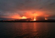 Erupción de volcán en Galápagos causa mínima afectación en la biodiversidad islas galapagos
