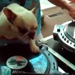 Muere DJ Robert Miles, leyenda de la música electrónica