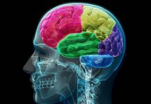 Daño Cerebral Adquirido: Vivir la vida, a pesar de los obstáculos salud