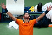 Del Potro aguanta el calor y avanza a semis en el US Open