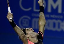 Del Potro se corona en Acapulco por primera vez roger