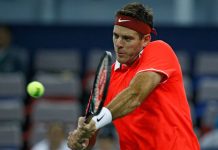 Del Potro y Federer se emplean a fondo en Cincinnati tenis