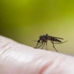 Suben a 27 los fallecimientos por dengue en Guatemala guatemala