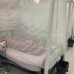 Suben a 79 los muertos por dengue en Honduras honduras