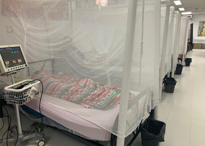 Dengue-Honduras-emergencia-nacional honduras