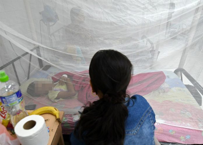 muertes por dengue en honduras