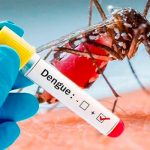 Sube a 54 la cifra de muertos por dengue hemorrágico en Honduras dengue hemorragico