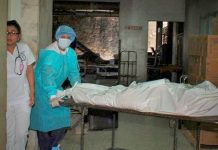 Honduras registra 17 muertes por dengue grave honduras