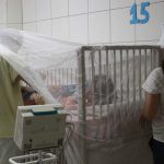 epidemia de dengue