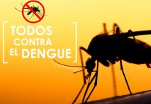 Gobierno de Nicaragua une esfuerzos para combatir el dengue nicaragua