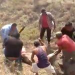 Roban y destazan en media carretera a reses vivas en México (VIDEO) video viral