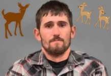 Juez de Misuri condena a un cazador furtivo a ver «Bambi» condena