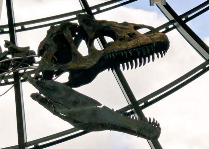 Dinosaurio_4PsqghX europa