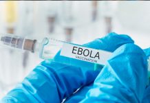 La OMS sigue a 400 contactos de pacientes de ébola en Congo ebola