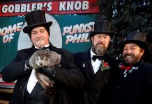 Marmota Phil predice un largo invierno en EE.UU.