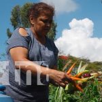 Productores del campo se refuerzan con escuelas técnicas en Estelí nicaragua