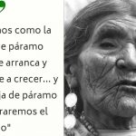 ¿Quién es Dolores Cacuango, lideresa ecuatoriana homenajeada por google? doodle